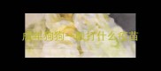 成年狗狗一般打什么疫苗