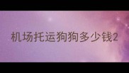 机场托运狗狗多少钱