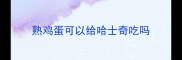 熟鸡蛋可以给哈士奇吃吗