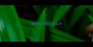 猫咪吃完就吐怎么办