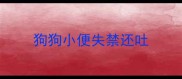 狗狗小便失禁还吐