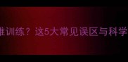边牧3个月难训练这5大常见误区与科学纠正方法全