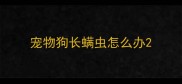 宠物狗长螨虫怎么办