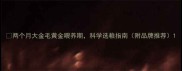 两个月大金毛黄金喂养期科学选粮指南附品牌推荐