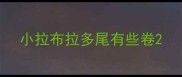 小拉布拉多尾有些卷