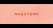 狗狗老是用脸蹭地