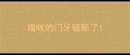 猫咪的门牙磕断了
