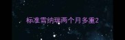 标准雪纳瑞两个月多重