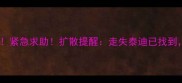 北京通州泰迪走失紧急求助扩散提醒走失泰迪已找到附寻回过程全记录