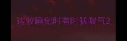 边牧睡觉时有时猛喘气