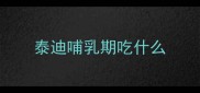 泰迪哺乳期吃什么