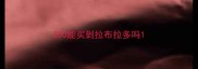 200能买到拉布拉多吗