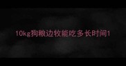 10kg狗粮边牧能吃多长时间