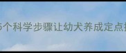 边境牧羊犬如厕训练全攻略5个科学步骤让幼犬养成定点排便习惯附训练视频链接