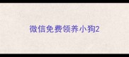 微信免费领养小狗