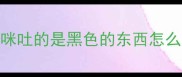 猫咪吐的是黑色的东西怎么办