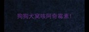 狗狗犬窝咳阿奇霉素
