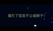 猫打了疫苗不让碰脖子