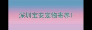 深圳宝安宠物寄养