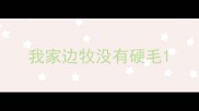 我家边牧没有硬毛