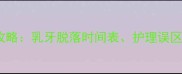 猫咪换牙全攻略乳牙脱落时间表护理误区与营养建议