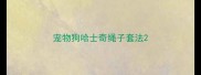 宠物狗哈士奇绳子套法