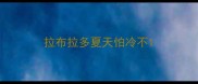 拉布拉多夏天怕冷不