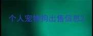 个人宠物狗出售信息