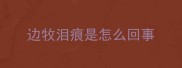 边牧泪痕是怎么回事