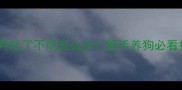 贵宾两个月吐了不吃怎么办新手养狗必看护理指南