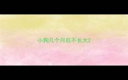 小狗几个月后不长大