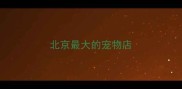 北京最大的宠物店
