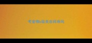 考宠物b级美容师难吗