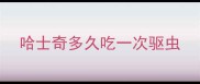 哈士奇多久吃一次驱虫
