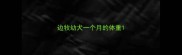 边牧幼犬一个月的体重