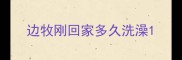 边牧刚回家多久洗澡