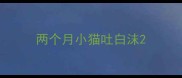 两个月小猫吐白沫