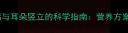 边境牧羊犬补钙与耳朵竖立的科学指南营养方案与日常养护全