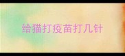 给猫打疫苗打几针