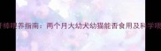 宠物磨牙棒喂养指南两个月大幼犬幼猫能否食用及科学喂养方案