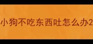 小狗不吃东西吐怎么办