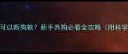 幼犬几个月可以断狗粮新手养狗必看全攻略附科学喂养时间表