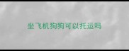 坐飞机狗狗可以托运吗