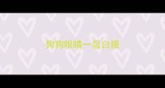 狗狗眼睛一层白膜