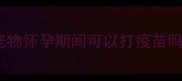 宠物怀孕期间可以打疫苗吗