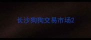 长沙狗狗交易市场