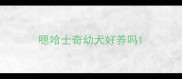 嗯哈士奇幼犬好养吗