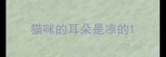 猫咪的耳朵是凉的