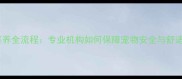 宠物寄养全流程专业机构如何保障宠物安全与舒适体验