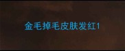 金毛掉毛皮肤发红